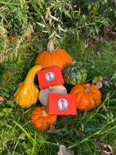 Load image into Gallery viewer, Fall Into Llama